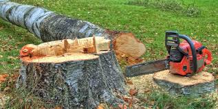 Best Lawn Dethatching  in Huntgton, IN