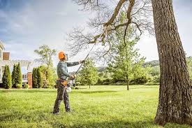 Best Commercial Tree Services  in Huntgton, IN
