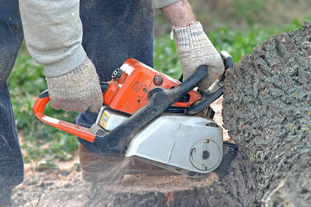Best Lawn Maintenance Plans  in Huntgton, IN